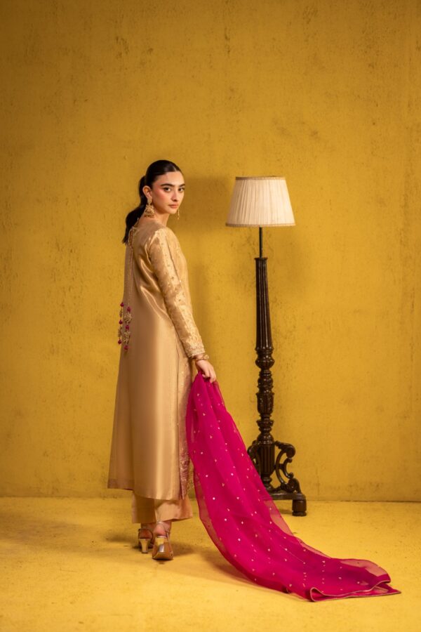 Article Code 2226 - Image 5